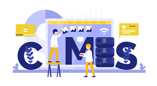 CMS Pantheon